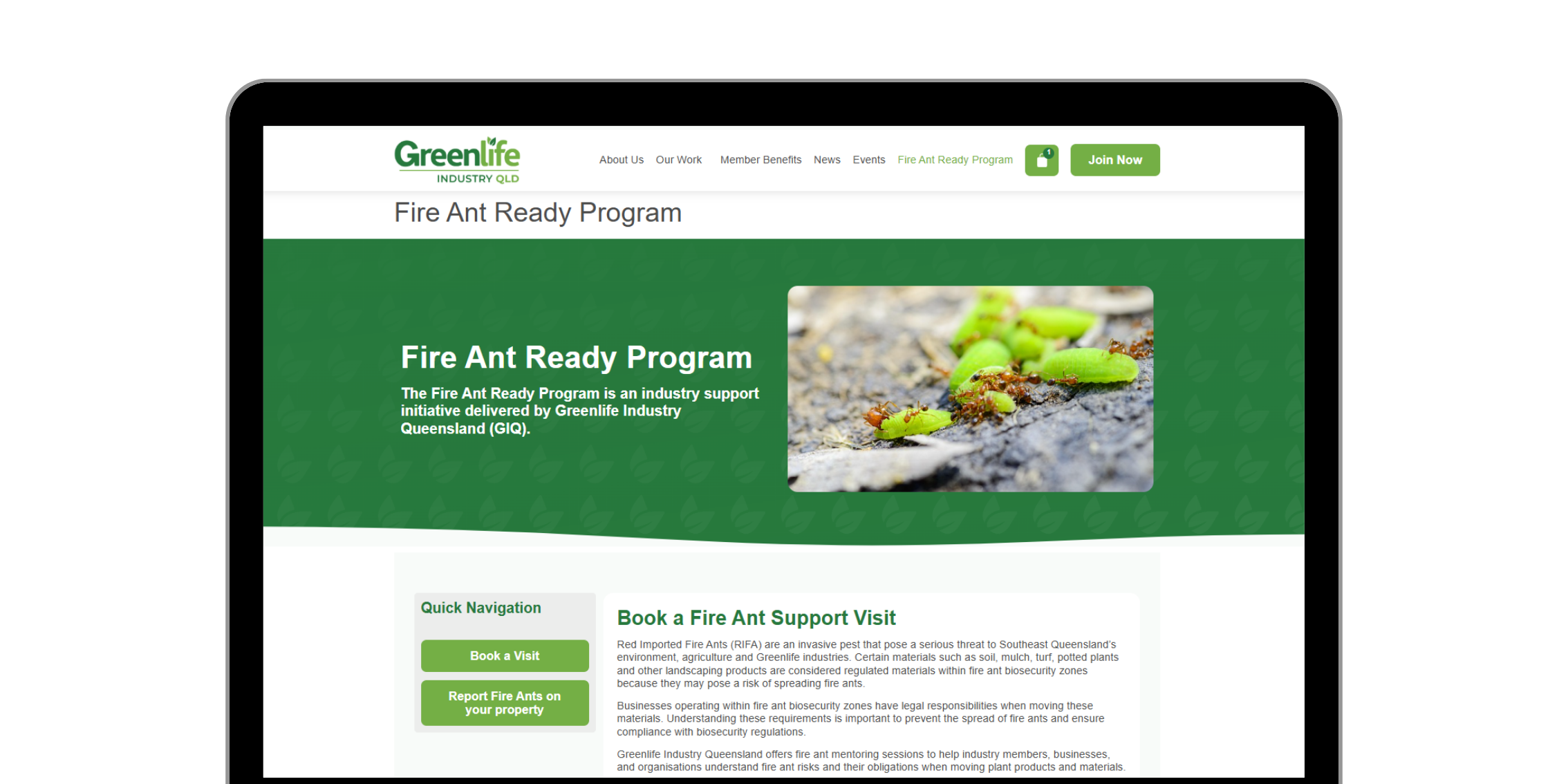 Fire Ant Ready Program Hub