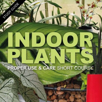 20 HOURS SHORT COURSE INTERIOR PLANTSCAPING