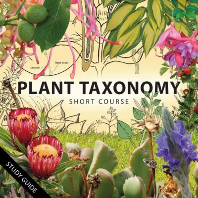 20 HOURS SHORT COURSE PLANT TAXONOMY
