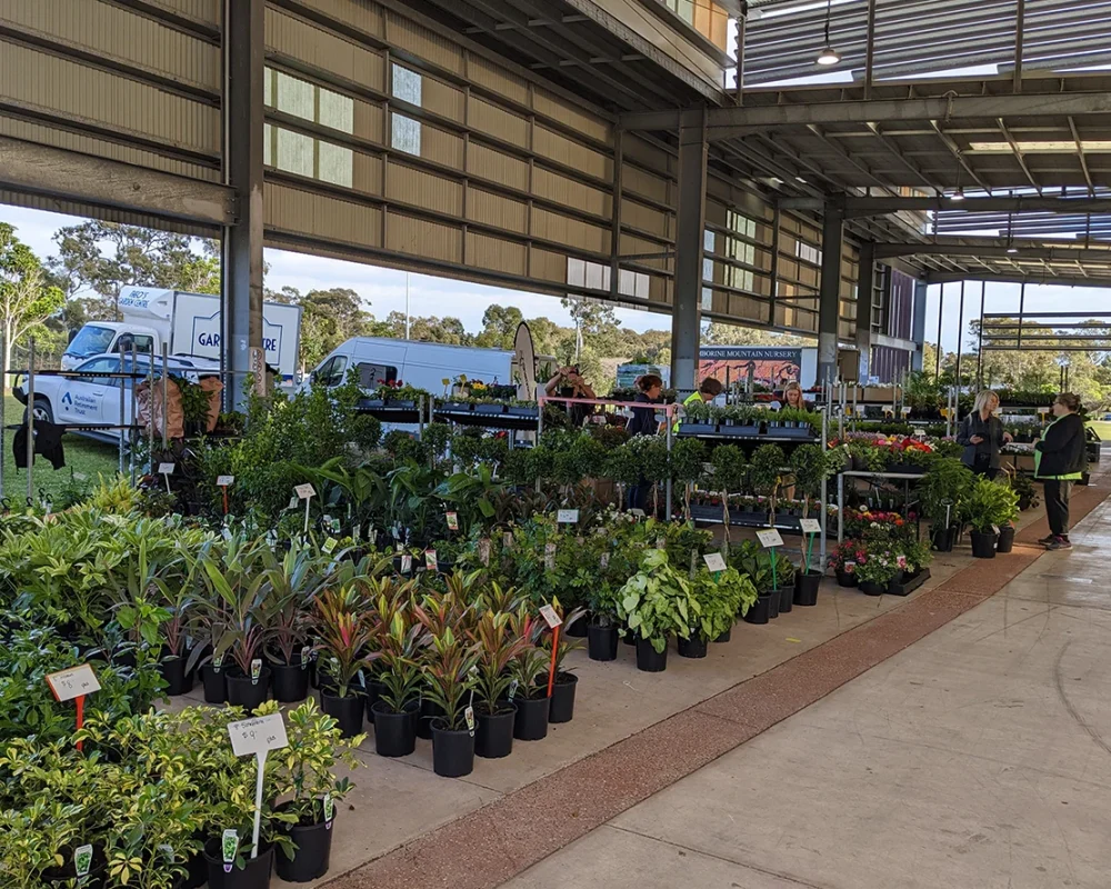 Brisbane Trade Days-c