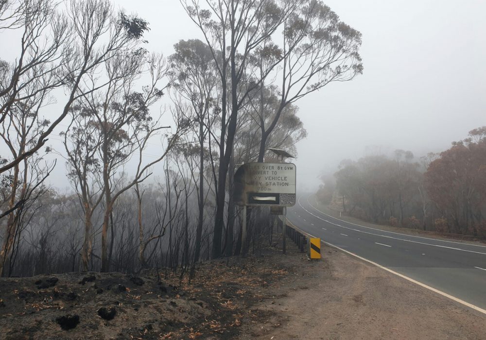 Climate Resilience - Banner