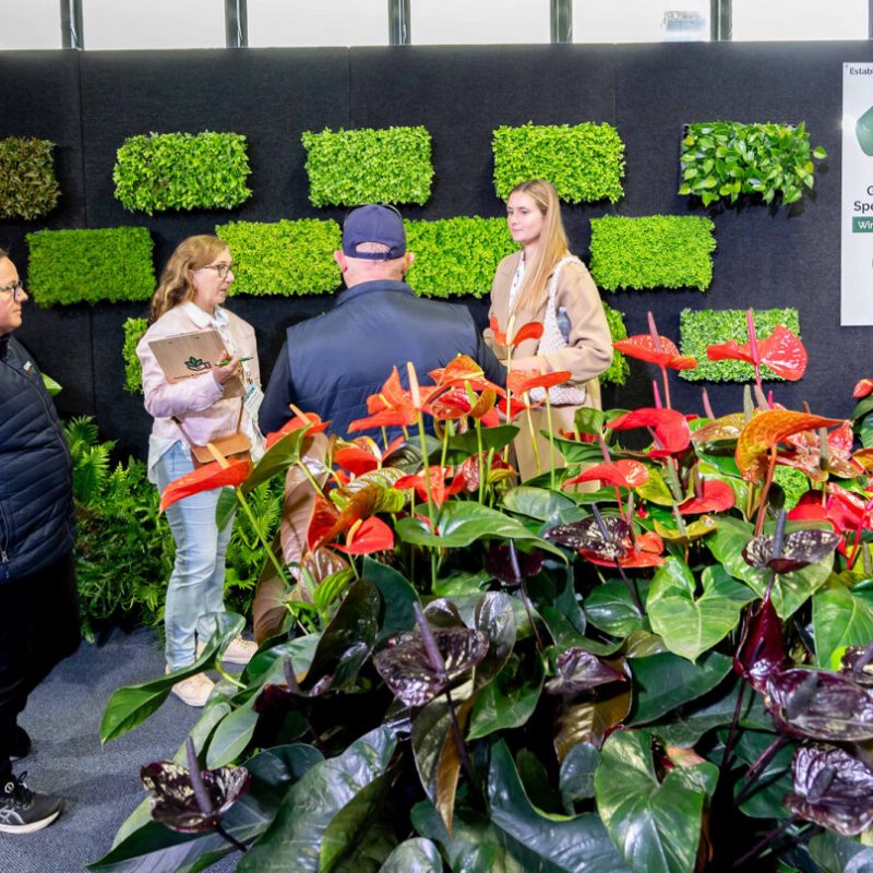 Members Benefits - Nursery Trade Register