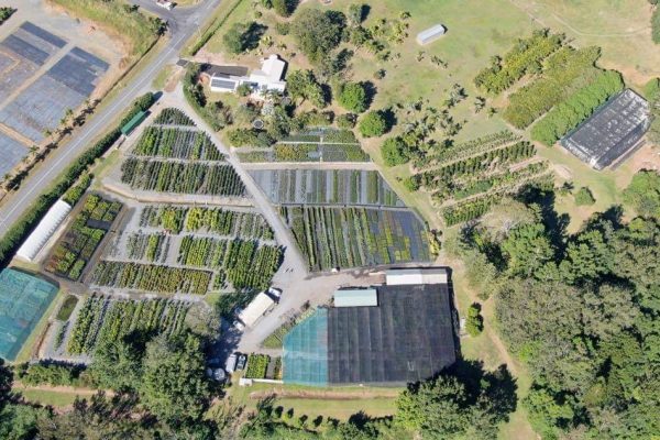 Mt Nathan Nursery