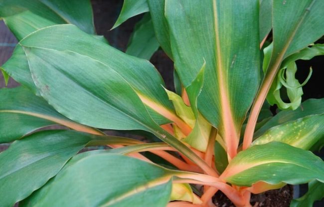 e5051b2250574df0313e793c08c83ca0c26d7d84