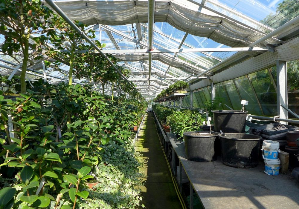 greenhouse-2499758_1280