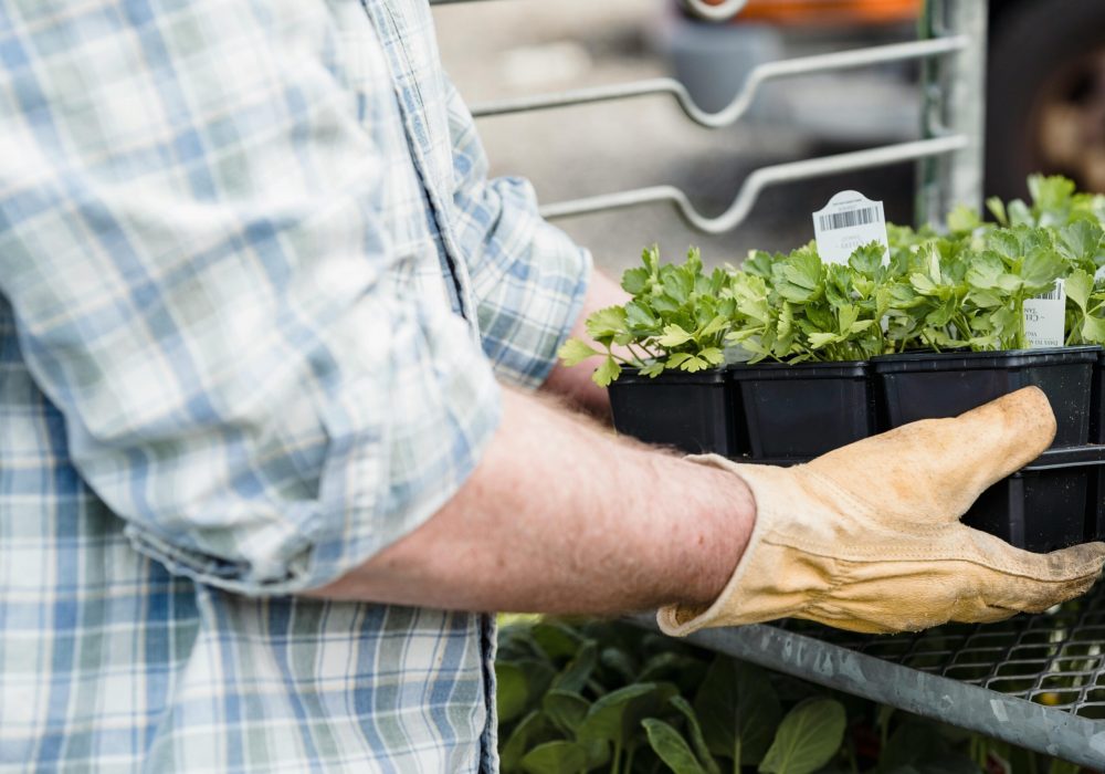 pexels-greta-hoffman-7728352